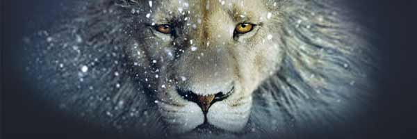 narniaNights_church_HTML_01-01_03