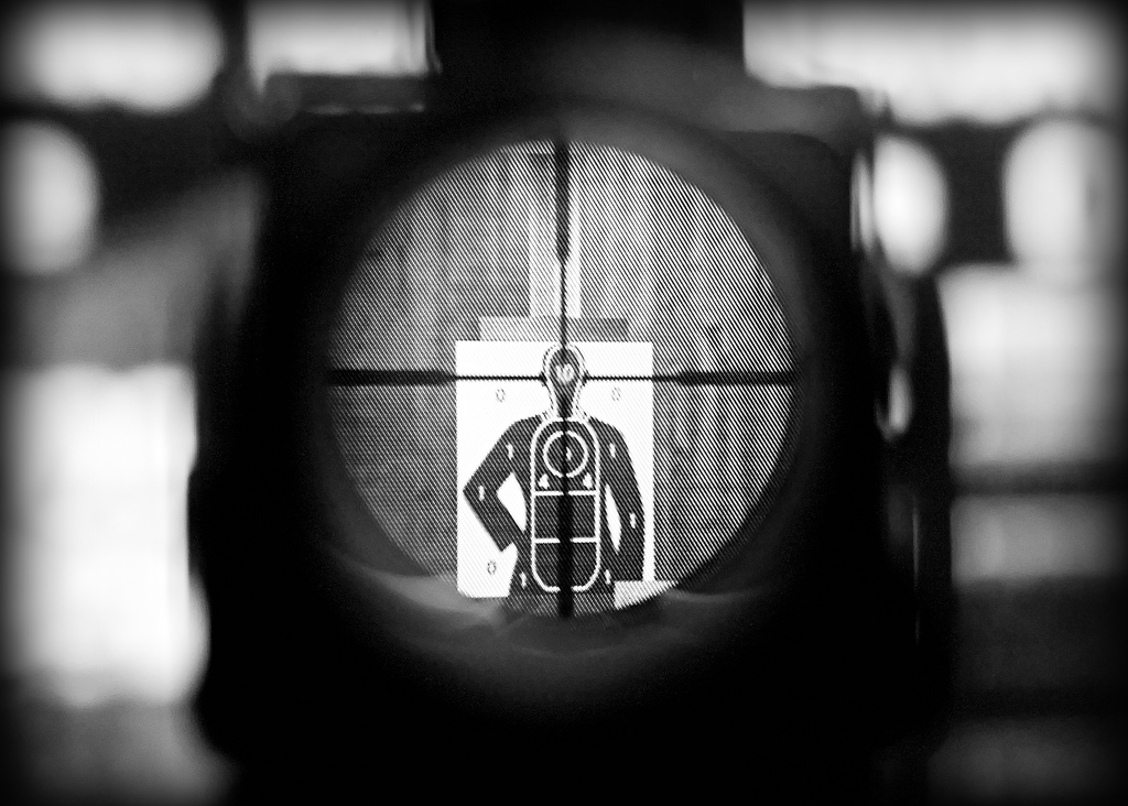 348221486_22bff6f429_b (scope)