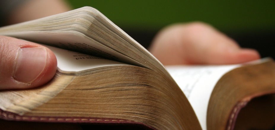 Young man reading small Bible