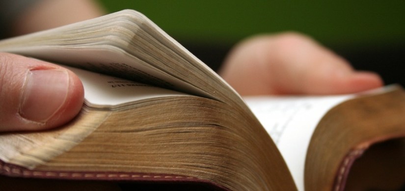 Young man reading small Bible